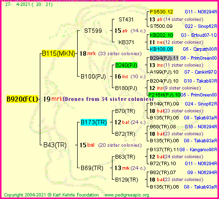 Pedigree of B920(FCL) :
four generations presented
it's temporarily unavailable, sorry!