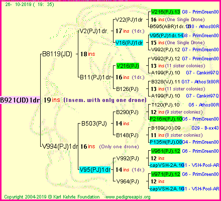 Pedigree of B921(JD)1dr :
four generations presented
it's temporarily unavailable, sorry!