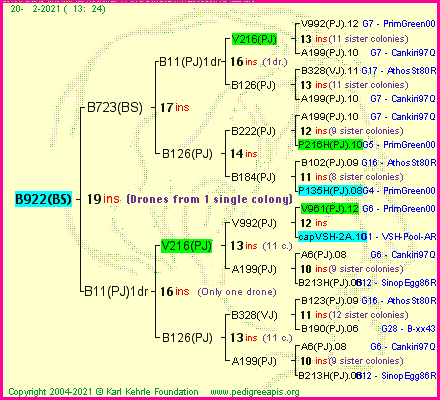 Pedigree of B922(BS) :
four generations presented
it's temporarily unavailable, sorry!