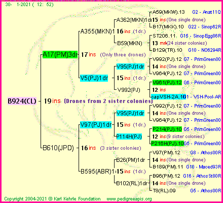 Pedigree of B924(CL) :
four generations presented
it's temporarily unavailable, sorry!