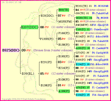 Pedigree of B925(DDC) :
four generations presented