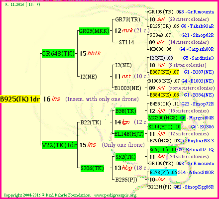 Pedigree of B925(TK)1dr :
four generations presented<br />it's temporarily unavailable, sorry!