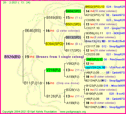 Pedigree of B926(BS) :
four generations presented
it's temporarily unavailable, sorry!