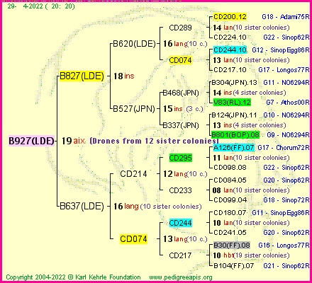 Pedigree of B927(LDE) :
four generations presented
it's temporarily unavailable, sorry!