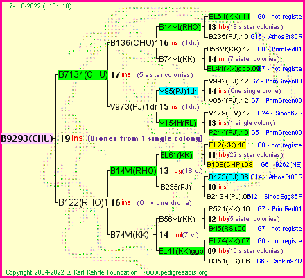 Pedigree of B9293(CHU) :
four generations presented
it's temporarily unavailable, sorry!