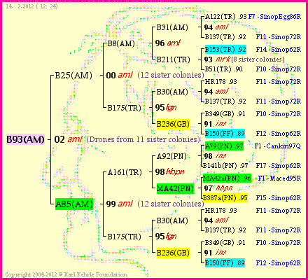 Pedigree of B93(AM) :
four generations presented<br />it's temporarily unavailable, sorry!