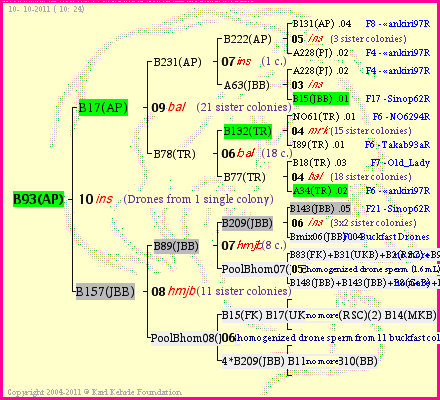 Pedigree of B93(AP) :
four generations presented