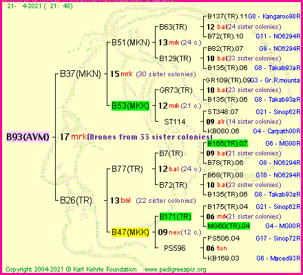 Pedigree of B93(AVM) :
four generations presented
it's temporarily unavailable, sorry!