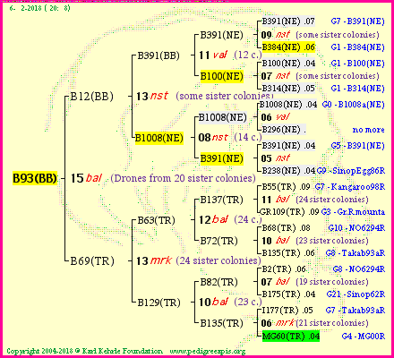 Pedigree of B93(BB) :
four generations presented