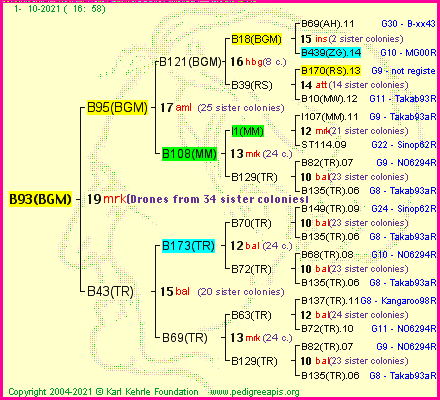 Pedigree of B93(BGM) :
four generations presented
it's temporarily unavailable, sorry!