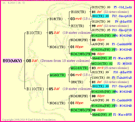 Pedigree of B93(MKV) :
four generations presented