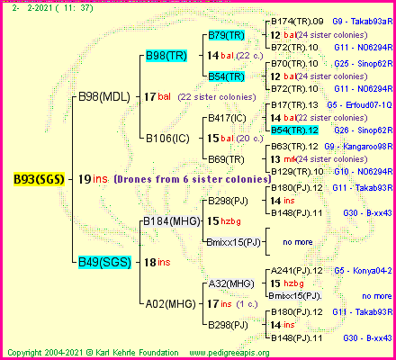 Pedigree of B93(SGS) :
four generations presented
it's temporarily unavailable, sorry!