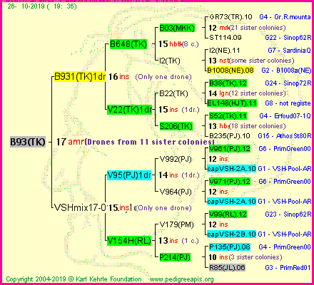 Pedigree of B93(TK) :
four generations presented<br />it's temporarily unavailable, sorry!