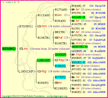 Pedigree of B93(WG) :
four generations presented<br />it's temporarily unavailable, sorry!