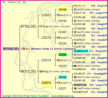 Pedigree of B930(LDE) :
four generations presented
it's temporarily unavailable, sorry!