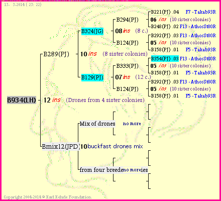 Pedigree of B934(LH) :
four generations presented