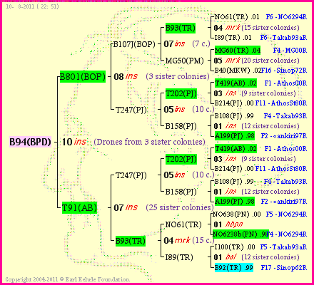 Pedigree of B94(BPD) :
four generations presented