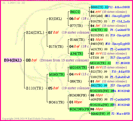 Pedigree of B94(DKL) :
four generations presented