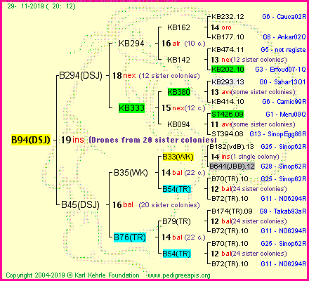 Pedigree of B94(DSJ) :
four generations presented
it's temporarily unavailable, sorry!