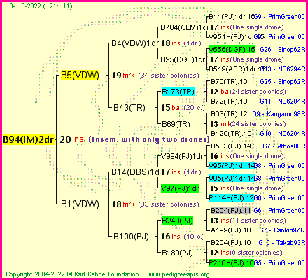 Pedigree of B94(IM)2dr :
four generations presented
it's temporarily unavailable, sorry!