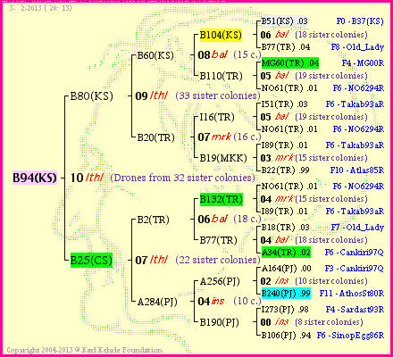 Pedigree of B94(KS) :
four generations presented