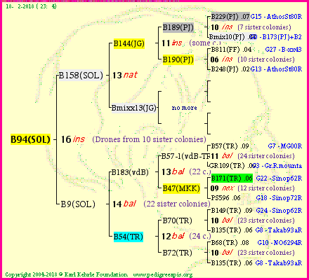 Pedigree of B94(SOL) :
four generations presented<br />it's temporarily unavailable, sorry!