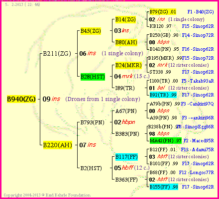 Pedigree of B940(ZG) :
four generations presented