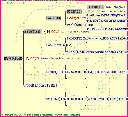 Pedigree of B941(JBB) :
four generations presented