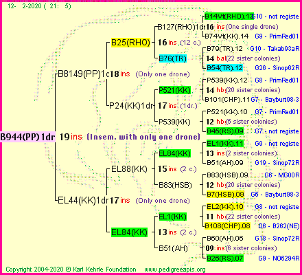 Pedigree of B944(PP)1dr :
four generations presented
it's temporarily unavailable, sorry!