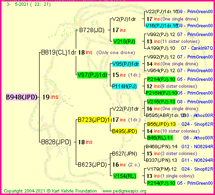 Pedigree of B948(JPD) :
four generations presented
it's temporarily unavailable, sorry!