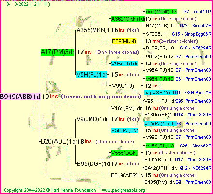 Pedigree of B949(ABB)1dr :
four generations presented
it's temporarily unavailable, sorry!