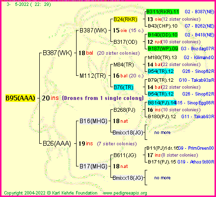 Pedigree of B95(AAA) :
four generations presented
it's temporarily unavailable, sorry!