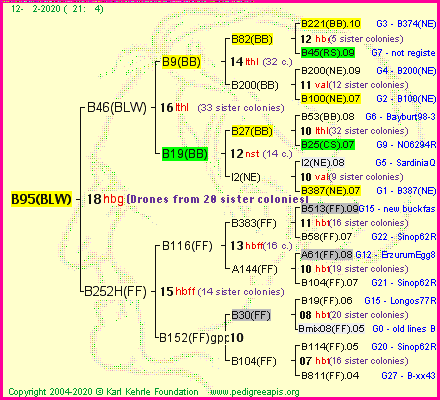 Pedigree of B95(BLW) :
four generations presented<br />it's temporarily unavailable, sorry!