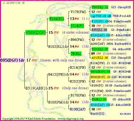 Pedigree of B95(DGF)1dr :
four generations presented
it's temporarily unavailable, sorry!