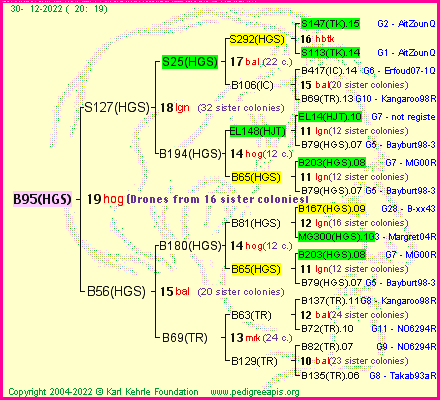 Pedigree of B95(HGS) :
four generations presented
it's temporarily unavailable, sorry!