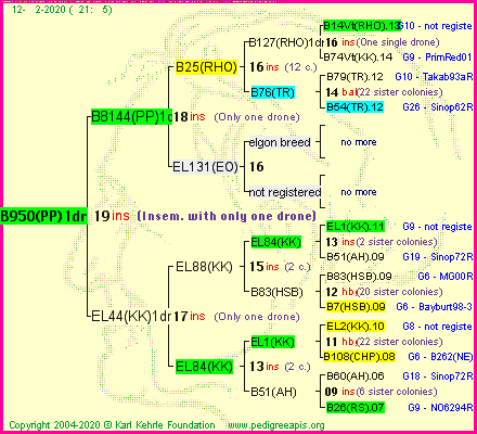 Pedigree of B950(PP)1dr :
four generations presented
it's temporarily unavailable, sorry!