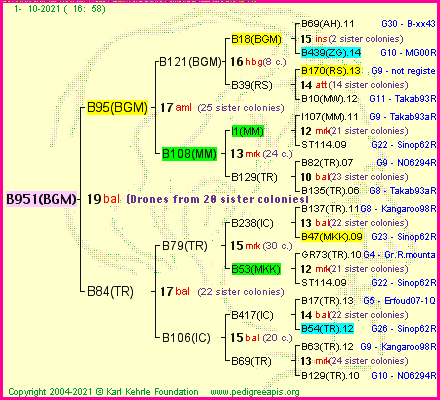 Pedigree of B951(BGM) :
four generations presented
it's temporarily unavailable, sorry!