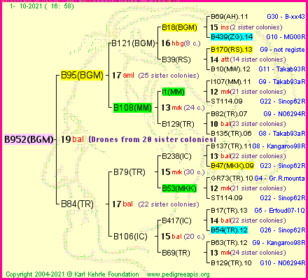 Pedigree of B952(BGM) :
four generations presented
it's temporarily unavailable, sorry!