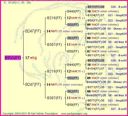 Pedigree of B953(FF) :
four generations presented
it's temporarily unavailable, sorry!