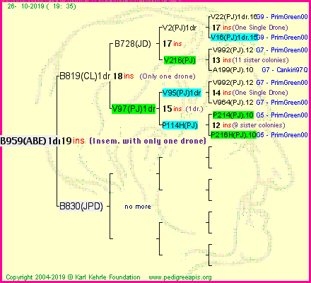Pedigree of B959(ABE)1dr :
four generations presented<br />it's temporarily unavailable, sorry!