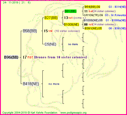 Pedigree of B96(BB) :
four generations presented<br />it's temporarily unavailable, sorry!