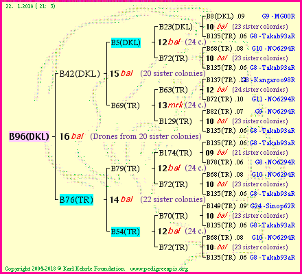 Pedigree of B96(DKL) :
four generations presented