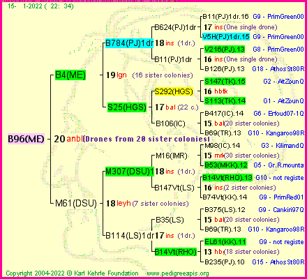 Pedigree of B96(ME) :
four generations presented
it's temporarily unavailable, sorry!