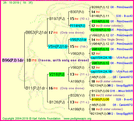 Pedigree of B96(PJ)1dr :
four generations presented
it's temporarily unavailable, sorry!