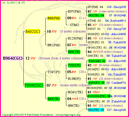 Pedigree of B964(CGC) :
four generations presented