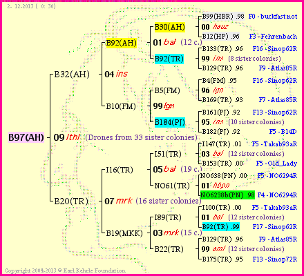 Pedigree of B97(AH) :
four generations presented