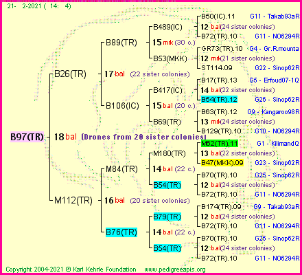 Pedigree of B97(TR) :
four generations presented
it's temporarily unavailable, sorry!