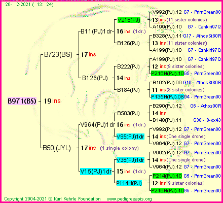 Pedigree of B971(BS) :
four generations presented
it's temporarily unavailable, sorry!