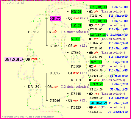 Pedigree of B972(BIE) :
four generations presented