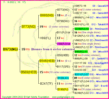 Pedigree of B973(NG) :
four generations presented
it's temporarily unavailable, sorry!